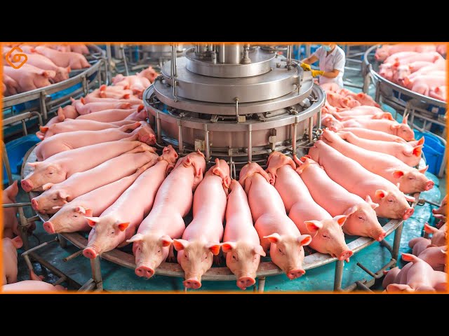 TOP Satisfying Videos Modern Food Technology Processing Machines That Are At Another Level ▶99