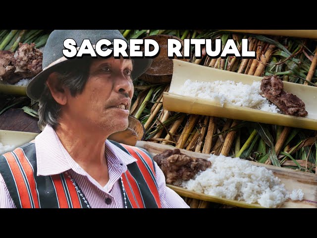 A Sacrifice in the Mountains of the Philippines (The Tradition of Cañao)
