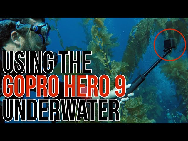 Using the Hero 9 Underwater