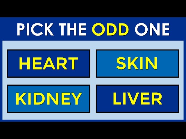 CAN YOU FIND THE ODD ONE OUT? 95% CANNOT! #challenge 17