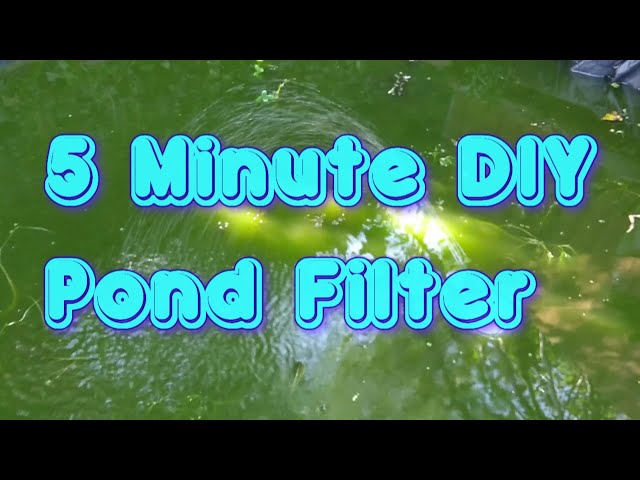 A Quick and Easy Pond Filter for a small pond - 5 Minute DIY Project