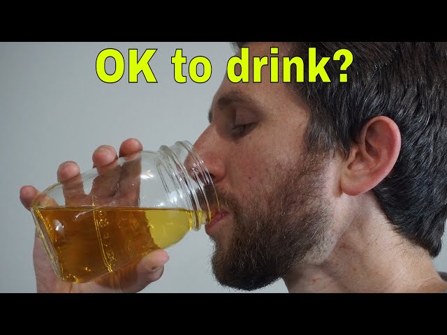 Drinking My Own Urine. Good Idea or Bad Idea?