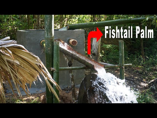 NEW WATER SYSTEM: guide water by Fishtail Palm | Primitive Skills - Ep.138