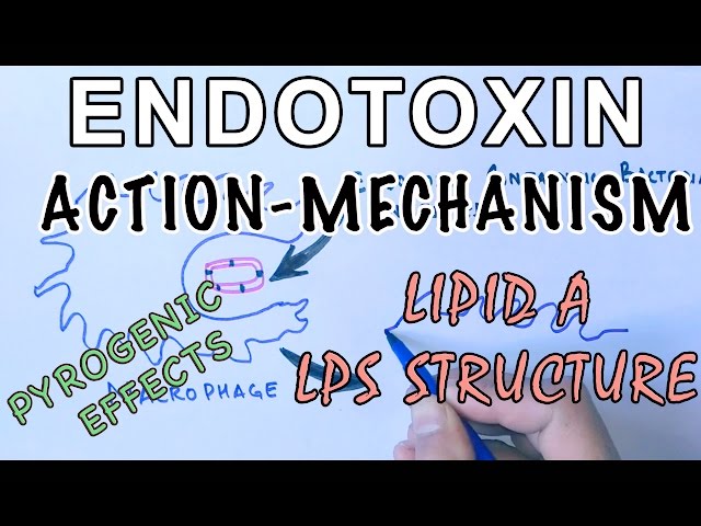 Mechanism of Endotoxins | Pyrogen Activation & LPS Structure
