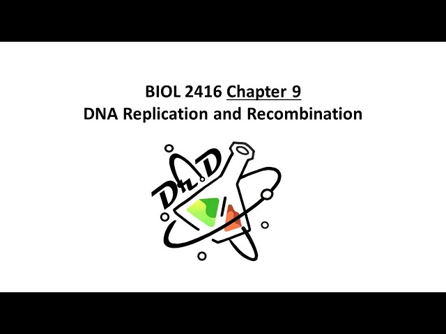 BIOL2416 Chapter 9 DNA Replication and Recombination
