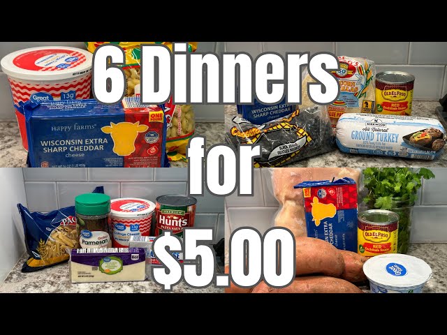 24 Meals for $30 | EPIC $5 Dinners | Emergency Grocery Budget | A Budget Friendly Meal Plan