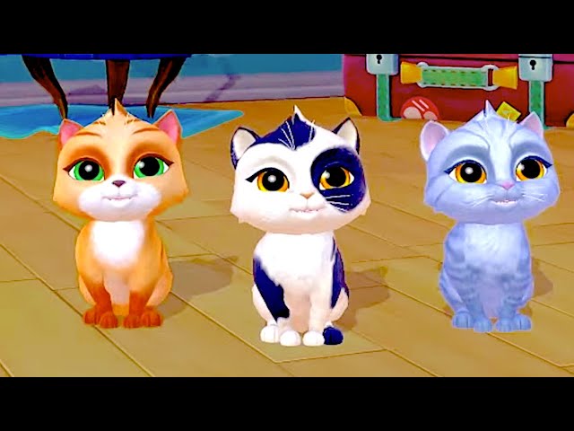 My Cat Little Kitten Preschool Adventures Educational Games - Play Fun Cute Kitten Pet Care Learning