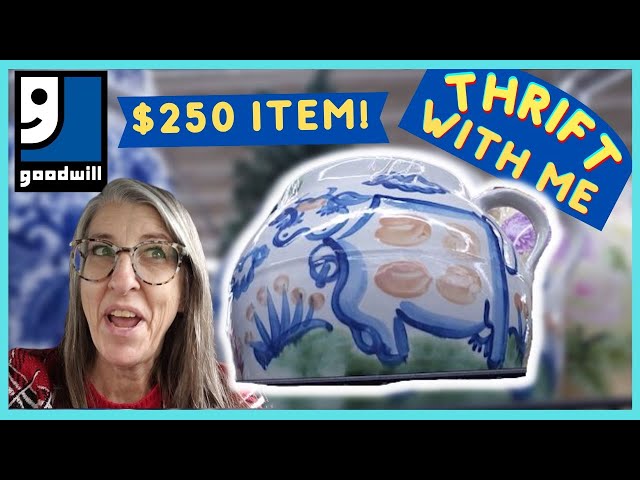 I WILL TURN $8 INTO $250 With Just 1 Item! Thrifting a Brand New Goodwill Thrift With Me