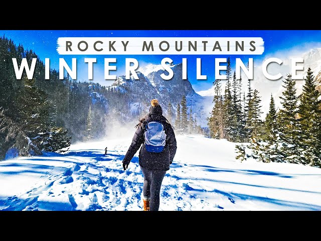 WINTER SILENCE in ROCKY MOUNTAIN NATIONAL PARK | Colorado