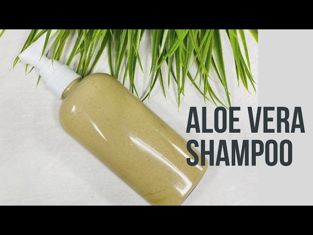 HOW TO MAKE HYDATING ALOE VERA SHAMPOO FOR DRY HAIR