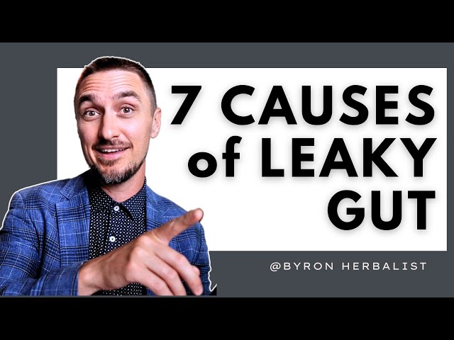 What's Causing Your Leaky Gut? Seven Causes of Gut Damage