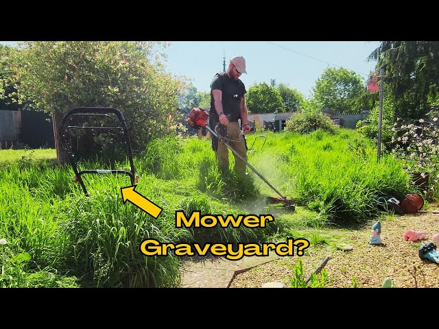 A SUBSCRIBER Needed My Help | Garden dream, turned garden NIGHTMARE