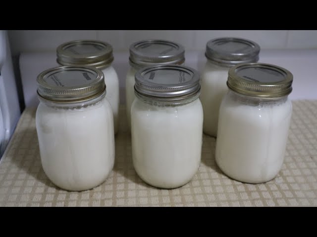 My Milk Canning Experiment