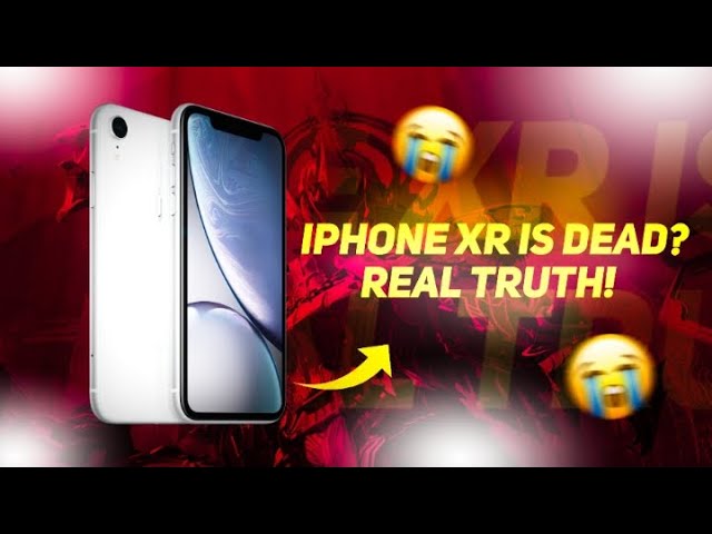 iPhone XR is Dead in 2024😭 iPhone XR in 2024 for Bgmi Pubg | Buy or Not?