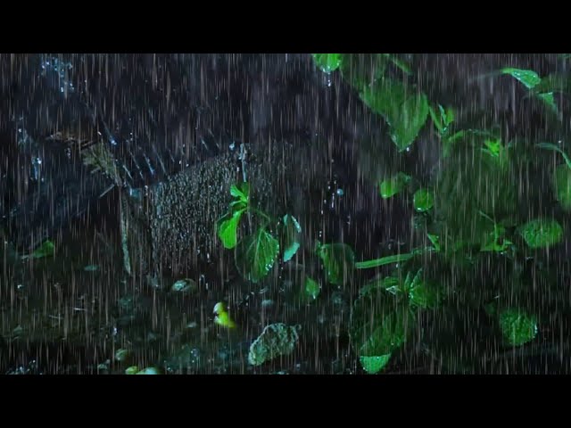 Having trouble sleeping soundly? listen to the amazing sound of heavy rain and sleep soundly