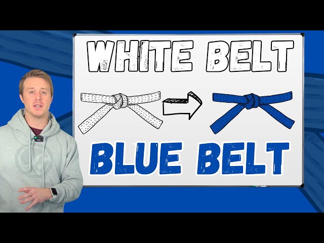 My White Belt to Blue Belt guide for students lacking direction & needing help
