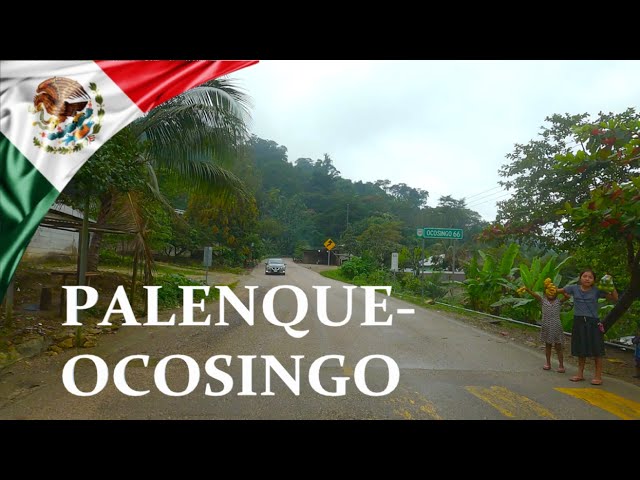 DRIVING in PALENQUE-OCOSINGO, State of Chiapas, MEXICO I 4K 60fps