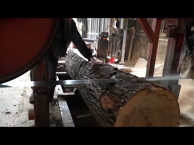The process of cutting a super big wood, IMPOSSIBLE