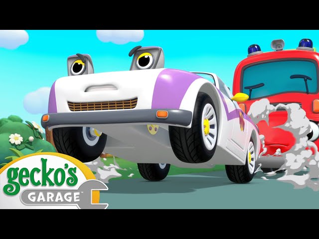 Molly's Lost Teddy Adventure | Gecko's Garage | Cartoons For Kids | Toddler Fun Learning
