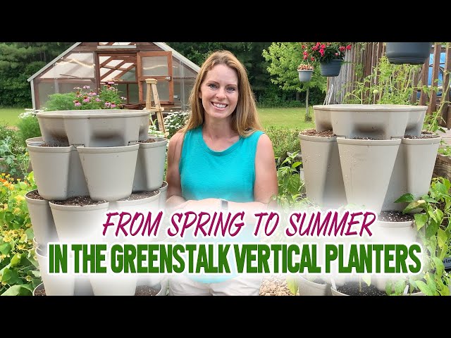 How to Transition Greenstalk Vertical Planters from Spring to Summer Crops