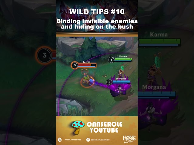 Binding Invisible Enemies and Hiding on bush | Wild Tips #10