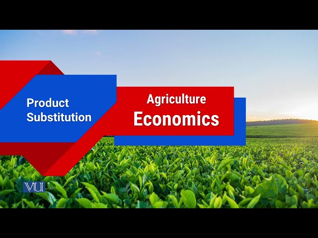 Product Substitution | Agricultural Economics | ECO608_Topic092
