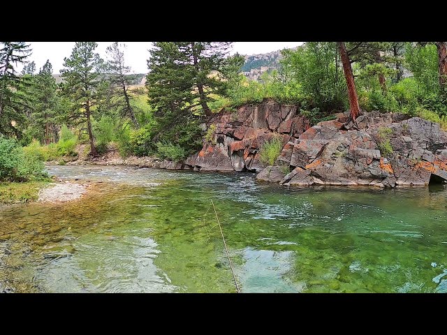 Dry Fly Perfection in Wyoming - Fly Fishing Wyoming (pt 3 day 3)