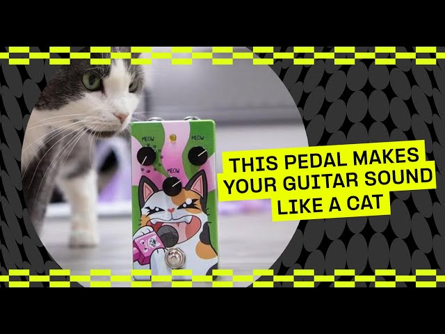 60 seconds with the Meowdulator – 2024's greatest pedal | Guitar.com