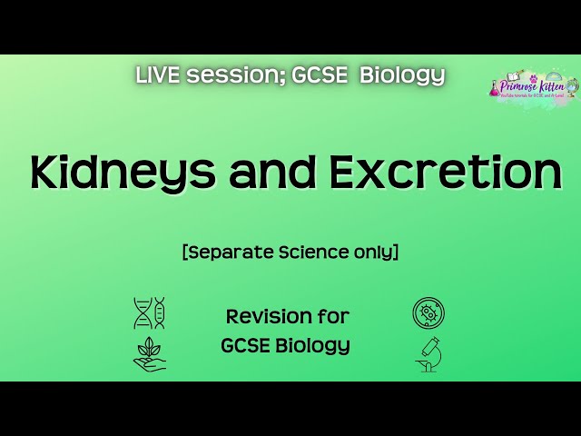 Kidneys and Excretion (Separate Science) - GCSE Biology | Live Revision Session