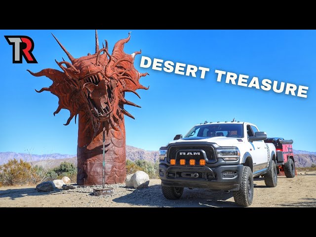 Exploring Unique Treasures in the Anza Borrego Desert