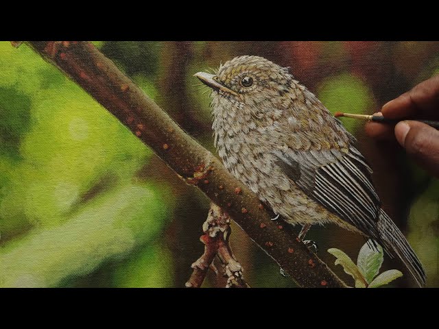 How to Painting a Bird With Acrylics