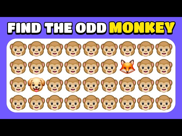 Find the ODD One Out - Animals NEW Edition 😸🐵🐶 Easy, Medium, Hard Levels