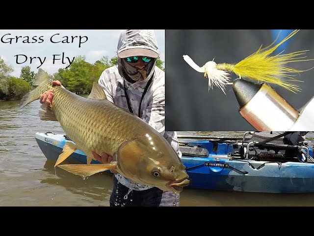 Fly Fishing for Giant Carp - How to tie this fly.