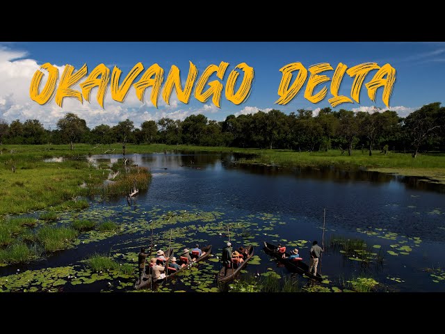 Overlanding in Botswana | Okavango Delta Part 1