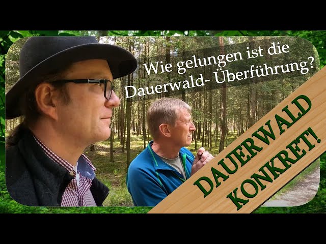 Zuschauerfrage #4 Typische Probleme bei der Dauerwald-Überführung | Dauerwald Konkret!