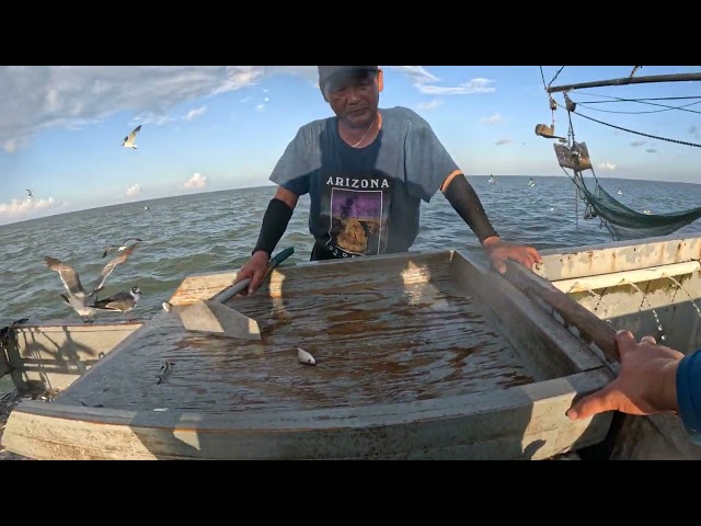 South Texas Shrimping #46 Tôm Nam Texas