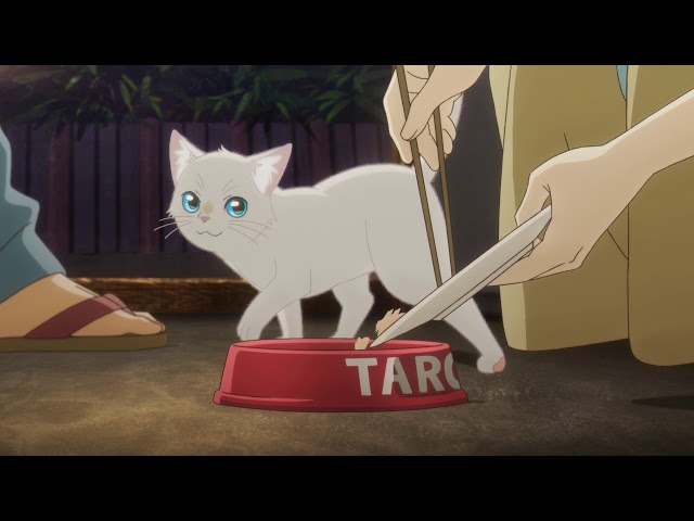 猫世界へようこそ！編PV『泣きたい私は猫をかぶる』（Netflixにて好評配信中！）