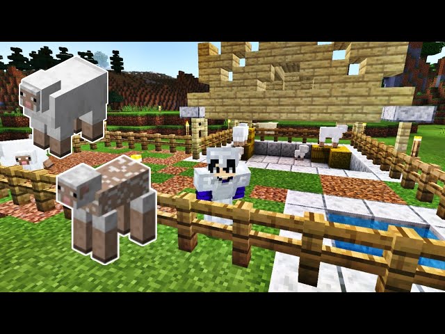 Membuat Kandang Domba - Minecraft Indonesia (4)
