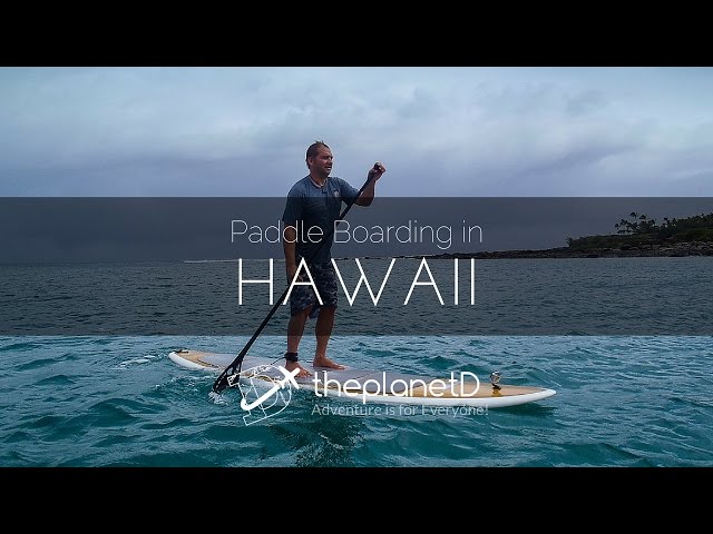 Maui Paddle Boarding Hawaii
