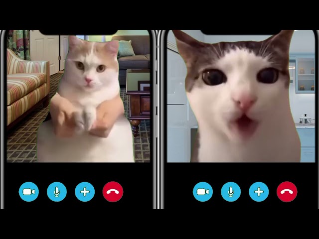 Cat Incoming Calls Skype meme