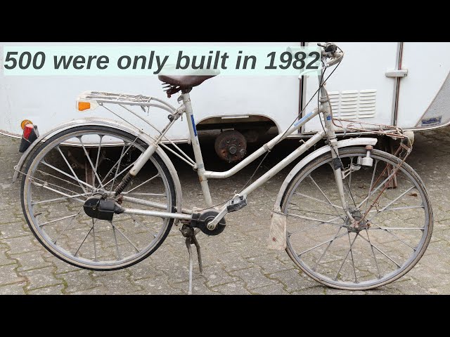 The FEHO: German chainless bicycle with Bevel Gear