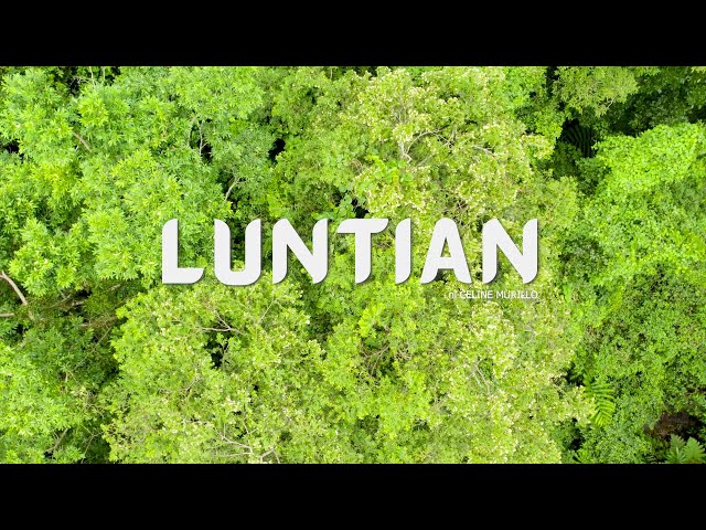 Luntian ni Celine Murillo | Forest Foundation Philippines