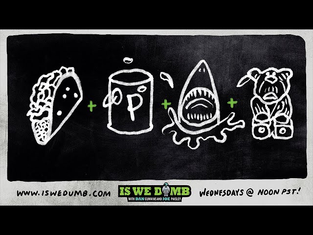 Is We Dumb? | Taco. Paint Can. Shark. Chainsaw Bear.