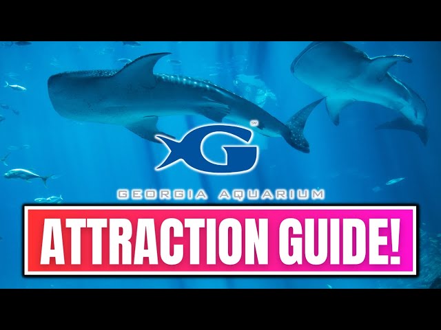 Georgia Aquarium Guide To Fun & Must-Know Tips!
