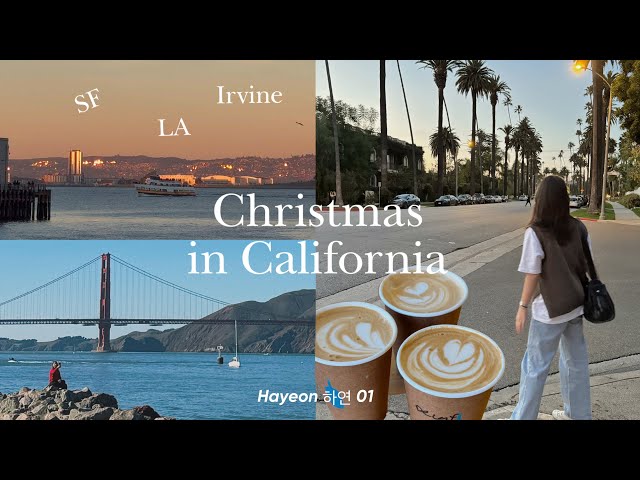 🇺🇸🌴Christmas in Cali | Healing with the family vlog | 런던의대생 브이로그