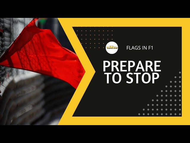 F1 Flags: Everything You Need To Know #F1 #Formula1
