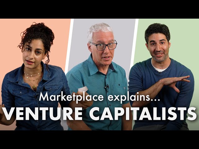 What are venture capitalists? – 15 Second Explainers