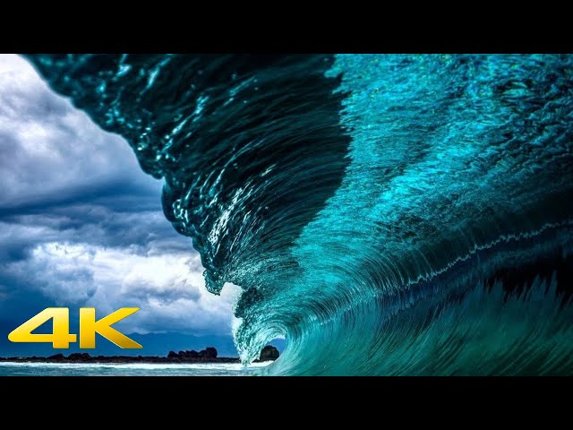 🔴(ASMR) Hawaiian Shorebreak - GoPro 4k - Waves of the World