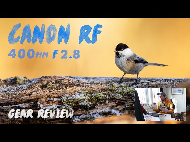 Canon RF 400mm F/2.8 lens review with samples | Gear Review