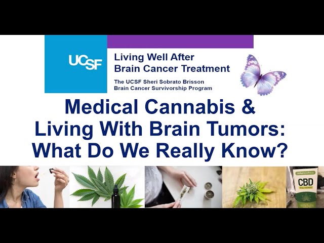 Medical Cannabis for Those Living With Brain Tumors: What Do We Really Know?